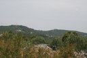 gal/cro 08/_thb_small-IMG_4637.JPG